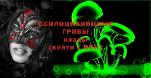 соль ск Алексеевка