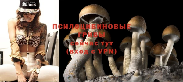 соль ск Алексеевка